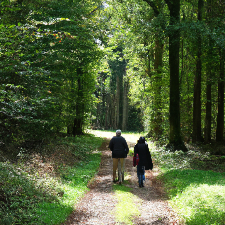 Finde deine innere Klarheit für den nächsten Karriereschritt - Trend in Coaching im Jahr 2025
